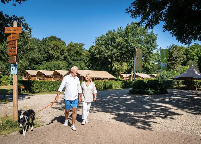 Campo de lujo Buytenplaats Gooise Heide
