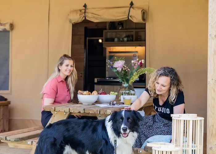 Buytenplaats Gooise Heide Luxury tent Huizen